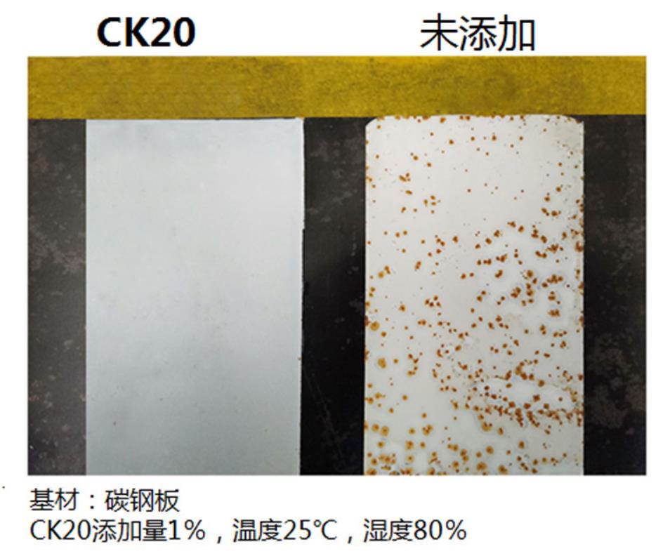 CK20-2.jpg